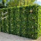 Mur Vegetal Artificiel Green