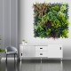 Mur Vegetal Artificiel Tropic