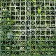 Mur Vegetal Artificiel Super Jungle