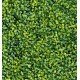 Feuillage Artificiel BUIS BOXWOOD au M²