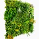 Mur vegetal artificiel Jungle au M²