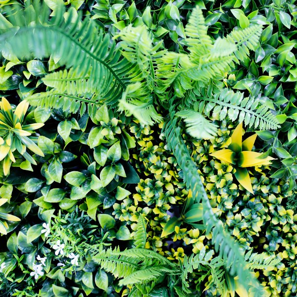 Mur vegetal artificiel Jungle au M²