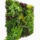 Mur vegetal artificiel brise vue Wood Colors