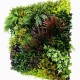 Mur Vegetal Artificiel Life