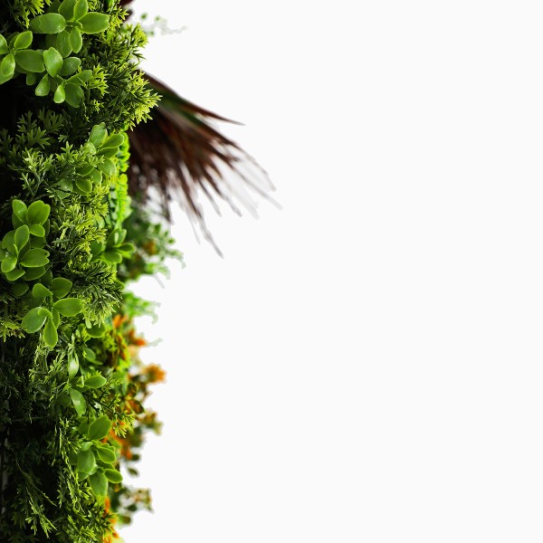 Mur Vegetal Artificiel Life