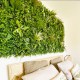 Mur vegetal artificiel Savane au M²