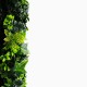 Feuillage artificiel Mur vegetal artificiel brise vue Lierre