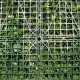 Mur Vegetal Artificiel Super Jungle